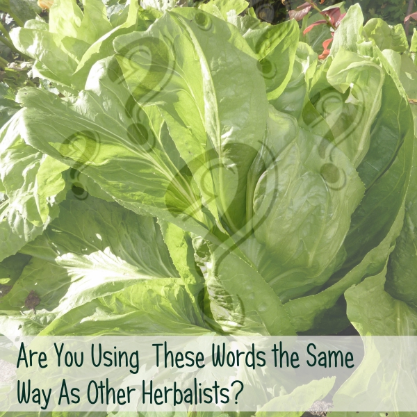 Are You Using These Words the Same Way as Other Herbalists? (The importance of consistency) -- Titus 2 Homemaker