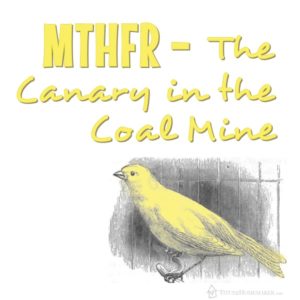MTHFR -- The Canary in the Coal Mine -- Titus 2 Homemaker