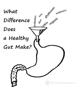 What difference does a healthy gut make? Why not find out? -- Titus 2 Homemaker