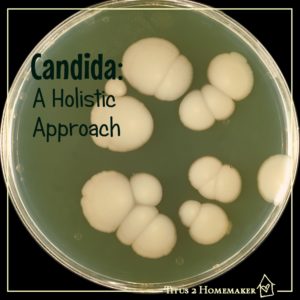 Candida: A Holistic Approach