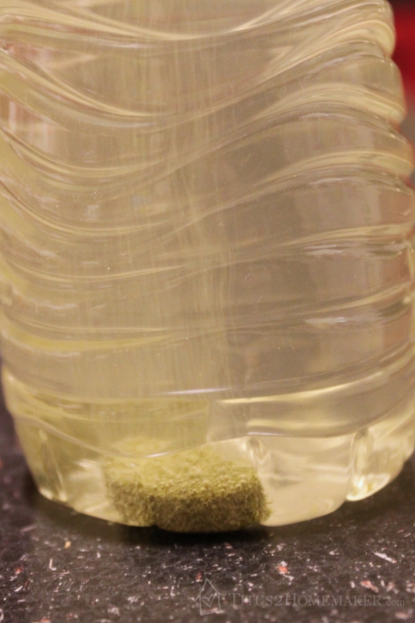 Wonder Mother (supplement for nursing mamas)