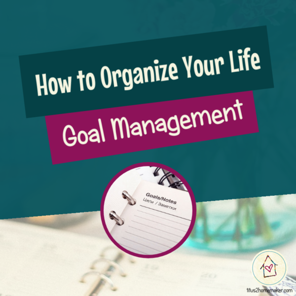 How to Organize Your Life (#6): Goal Management (title image)