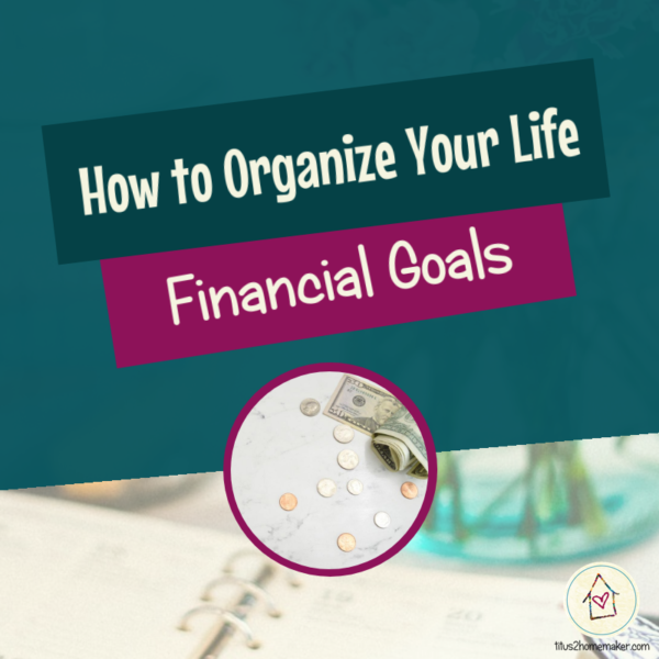 How to Organize Your Life (#30): Financial Goals (title image)