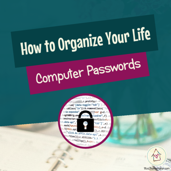 How to Organize Your Life (#33): Computer Passwords (title image)