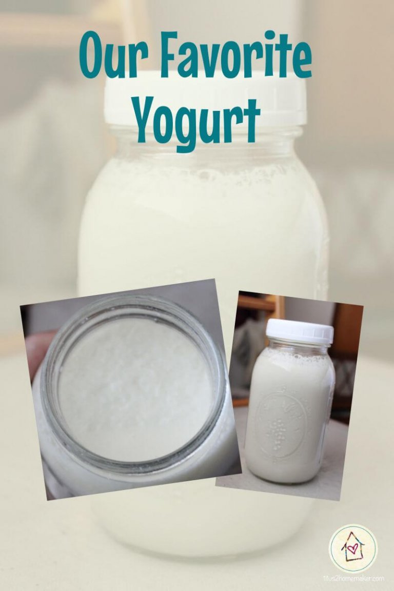 Yummy Yogurt What You Need to Know About Making Yogurt at Home