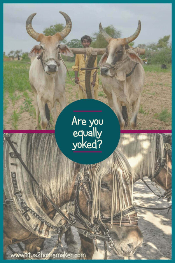 What Does the Bible Mean by Equally Yoked?