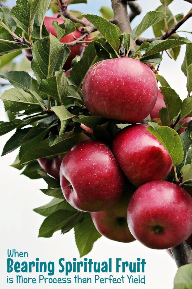When Bearing Spiritual Fruit is More Process than Perfect Yield
