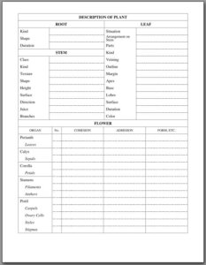 Plant Identification Notebook Page