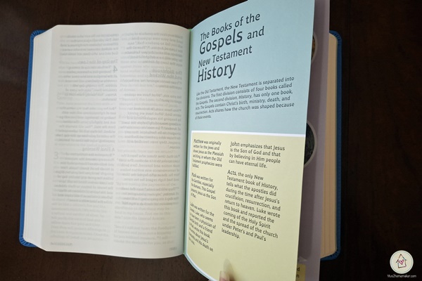 Grace Bible for Kids - timeline of Jesus' life hidden on interior pages