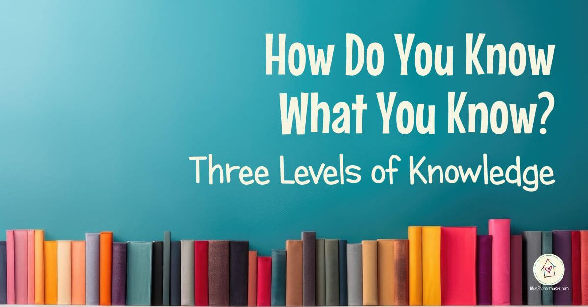 How Do You Know What You Know? Three Levels of Knowledge